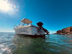 Bayliner Trophy pro 2052
