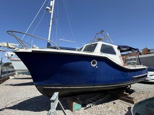 Colvic Seaworker 22 and road trailer