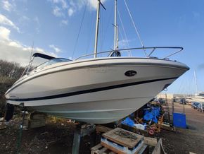 Regal 2250 Cuddy  - Main Photo