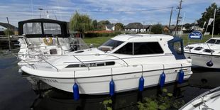 Haines 29