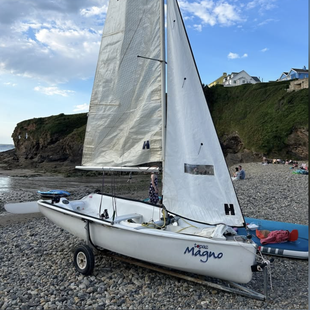 Topper Topaz Magno in Pembrokeshire
