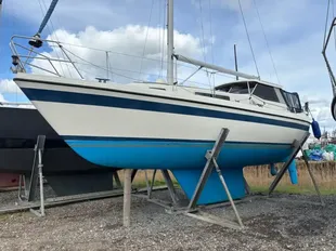 LM 28