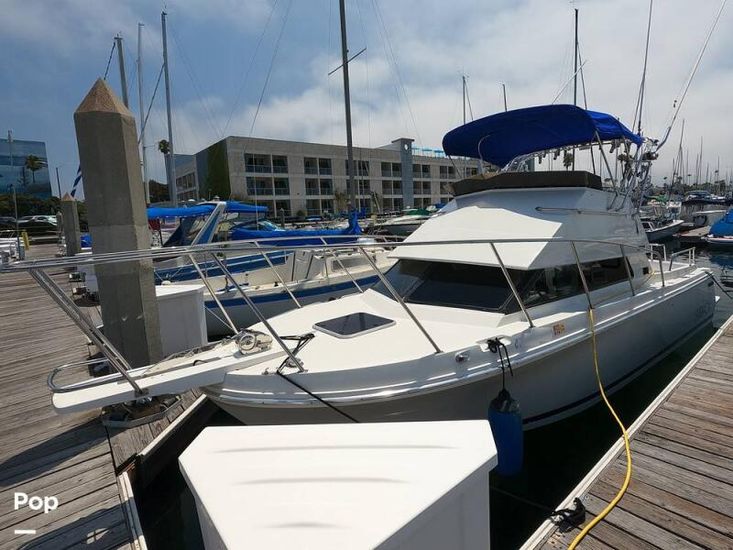 1994 Skipjack 262