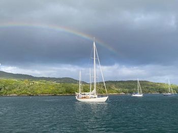 49' classic yawl