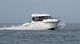2019 Jeanneau Merry Fisher 795