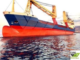 107m / Multi Purpose Vessel / General Cargo Ship for Sale / #1051382