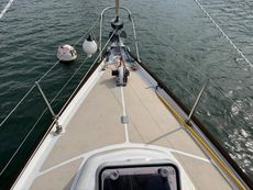 Classic Van de Stadt Harmony 31
