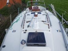 1980 Lord Helmsman 31