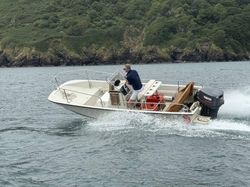 1993 Boston Whaler Montauk 17