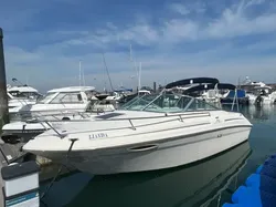 1999 Sea Ray 215 Express Cruiser
