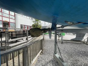 IMG 5493