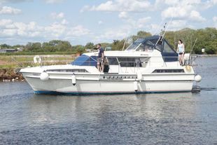 Broom Crown 37