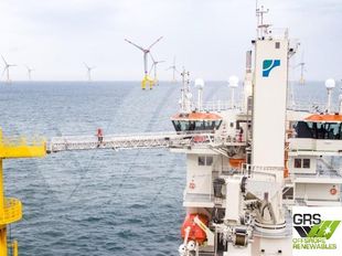 Gangway SMST with Tower incl 3t Motion Compensted Crane / Gangway for Sale / #1128780