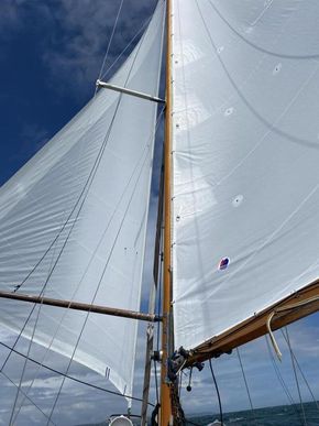 new sanders sails