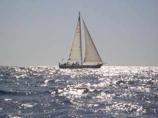 Reinke 14 steel sailing yacht
