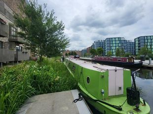Unique and Colourful 57ft Narrowboat-Scotland