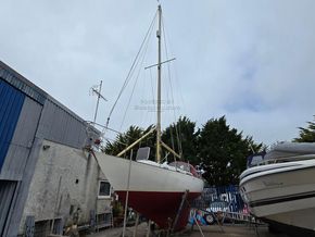 Rustler 31  - Exterior