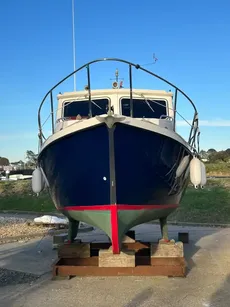 2010 Trusty T 23