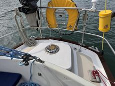 Classic Van de Stadt Harmony 31