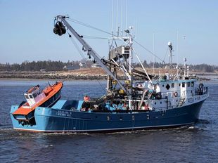101 FT HERRING PURSE SEINER