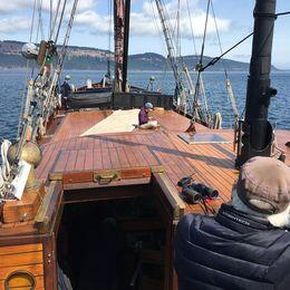 View from aft while sailing