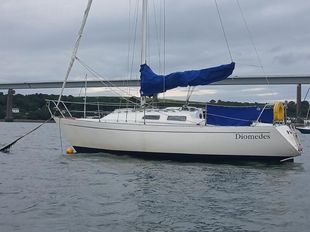 Contessa 28