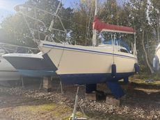 Hunter Horizon 26