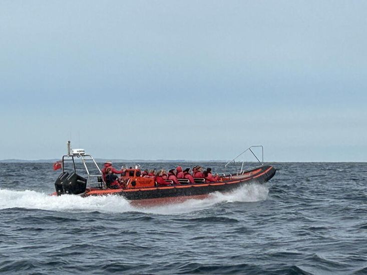 Tornado 10M Super CAT 4 Charter Seafaris 12+2