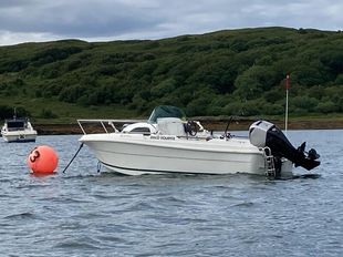 Jeanneau Merry Fisher 480 + Mariner 60hp