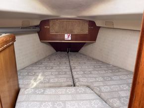 Hunter Legend 326  - Forward Cabin