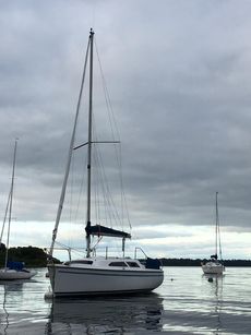 Catalina 250 Sail Boat