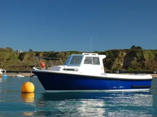 1997 Mitchell 22 Sea Angler MK II