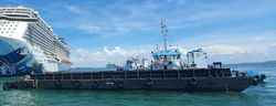 120ft Deck Cargo Barge (Ballastable)