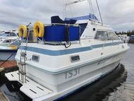 Birchwood TS31