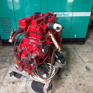 Beta Marine Engine BBS 48 EPA 48 lifeboat engine