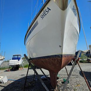 Colvic Countess 33