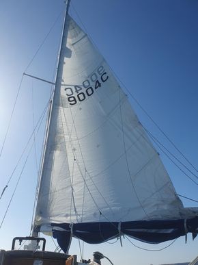 Good sails contribution to competitive 8 knots