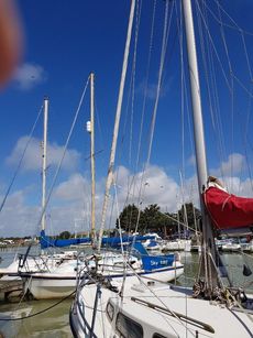 LM 27 MOTOR SAILOR