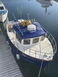 TAMAR 3000