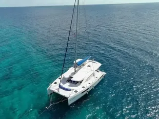 2013 Leopard 48