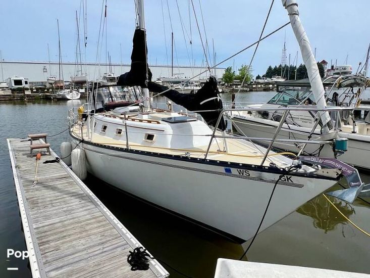 1979 Hunter 37 cherubini