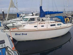 Westerly Griffon