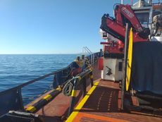 1984 Tug - Single Screw For Sale