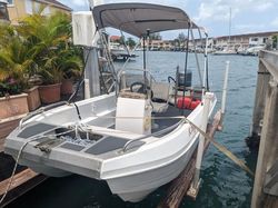 2018 Seahull Commercial Cat