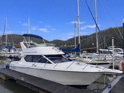 2006 Bayliner 288 Classic