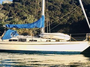 Contessa 32