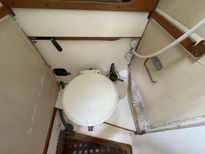 IMG 0161