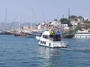 Bayliner 3288