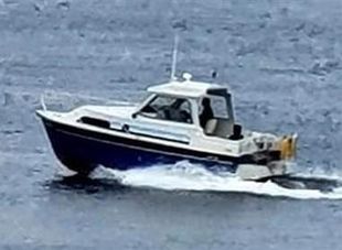 1989 Hardy Seawings 234