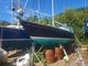 1979 Seacracker 33
